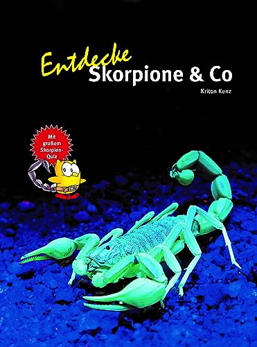 Entdecke Skorpione & Co: Mit großem Skorpion-Quiz (Entdecke - Die Reihe mit der Eule: Kindersachbuchreihe) von Natur und Tier